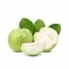 Guava