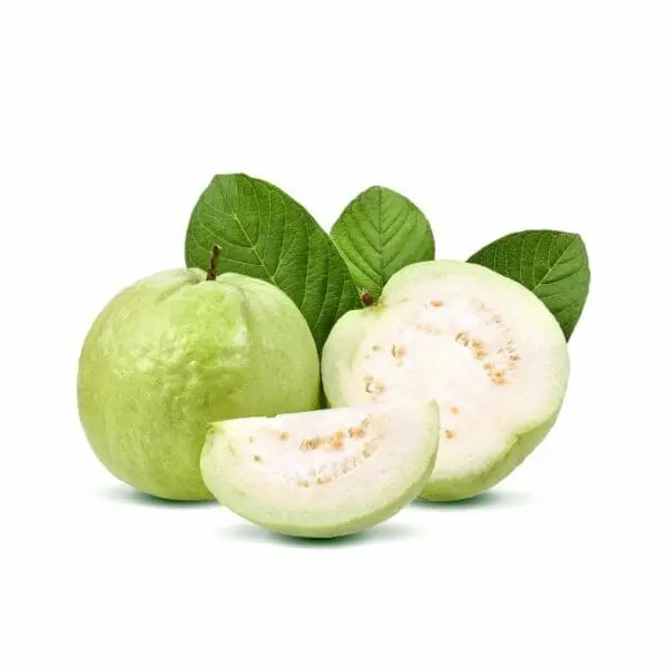 Guava