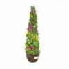 Bougainvillea - Shaped